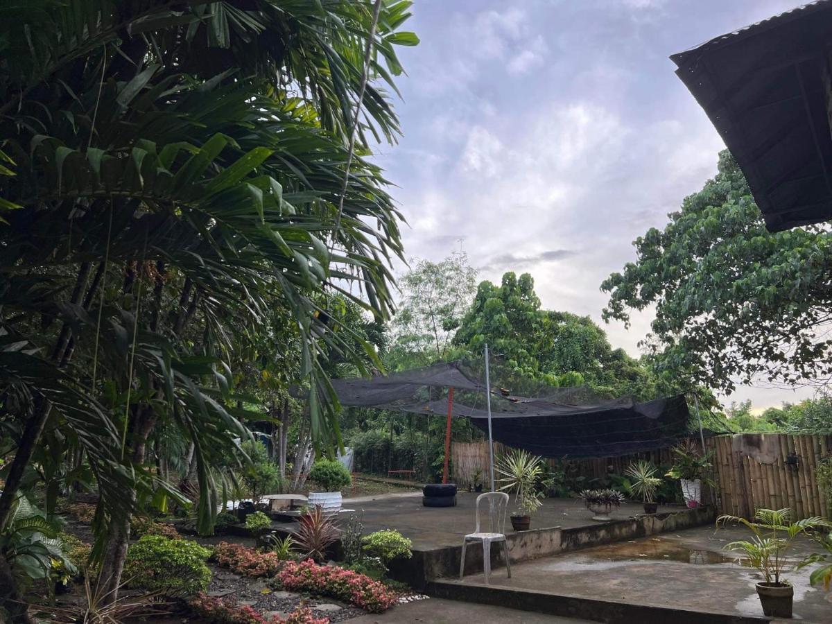 Bohol Island Homestay Dauis Eksteriør bilde