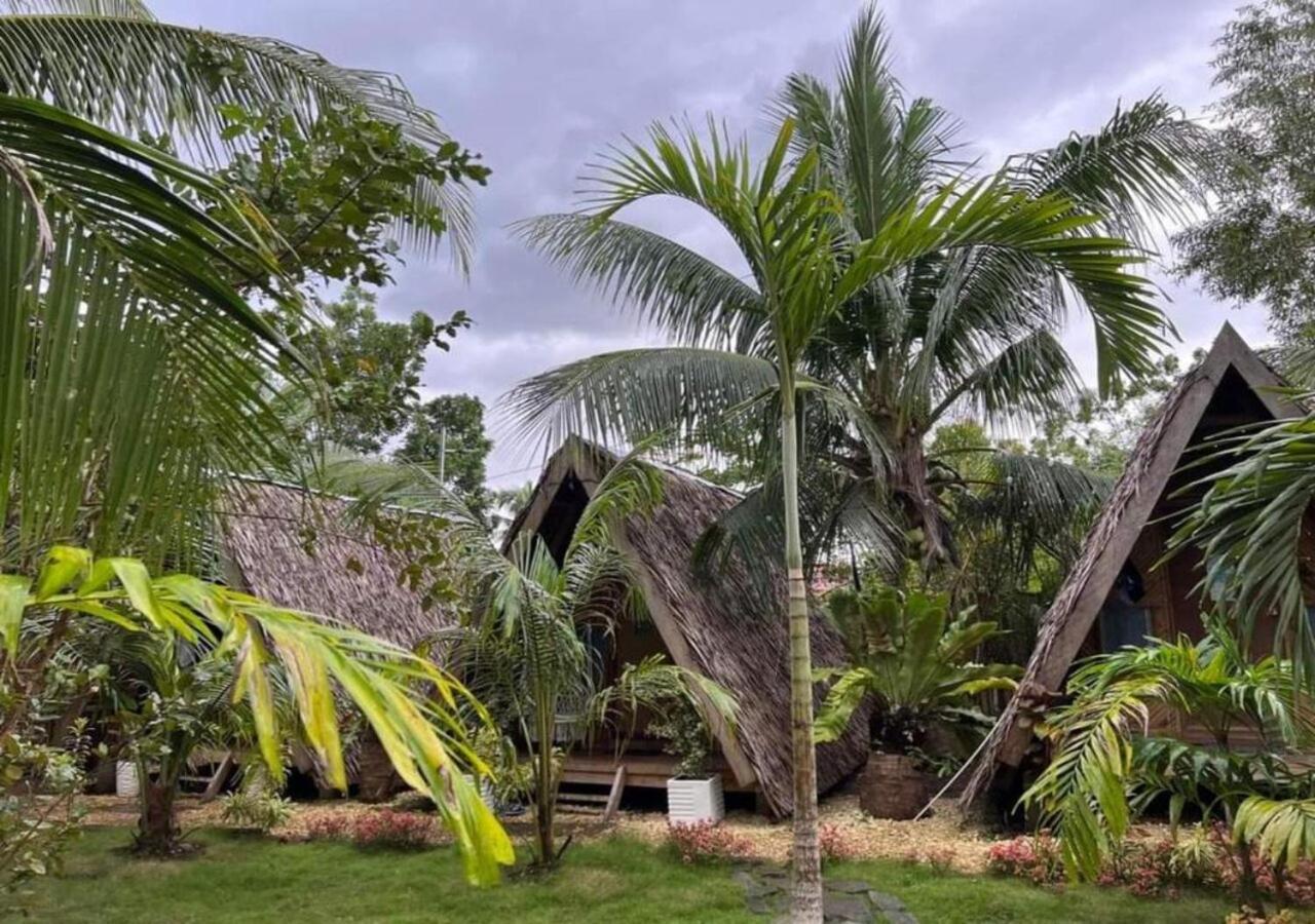 Bohol Island Homestay Dauis Eksteriør bilde