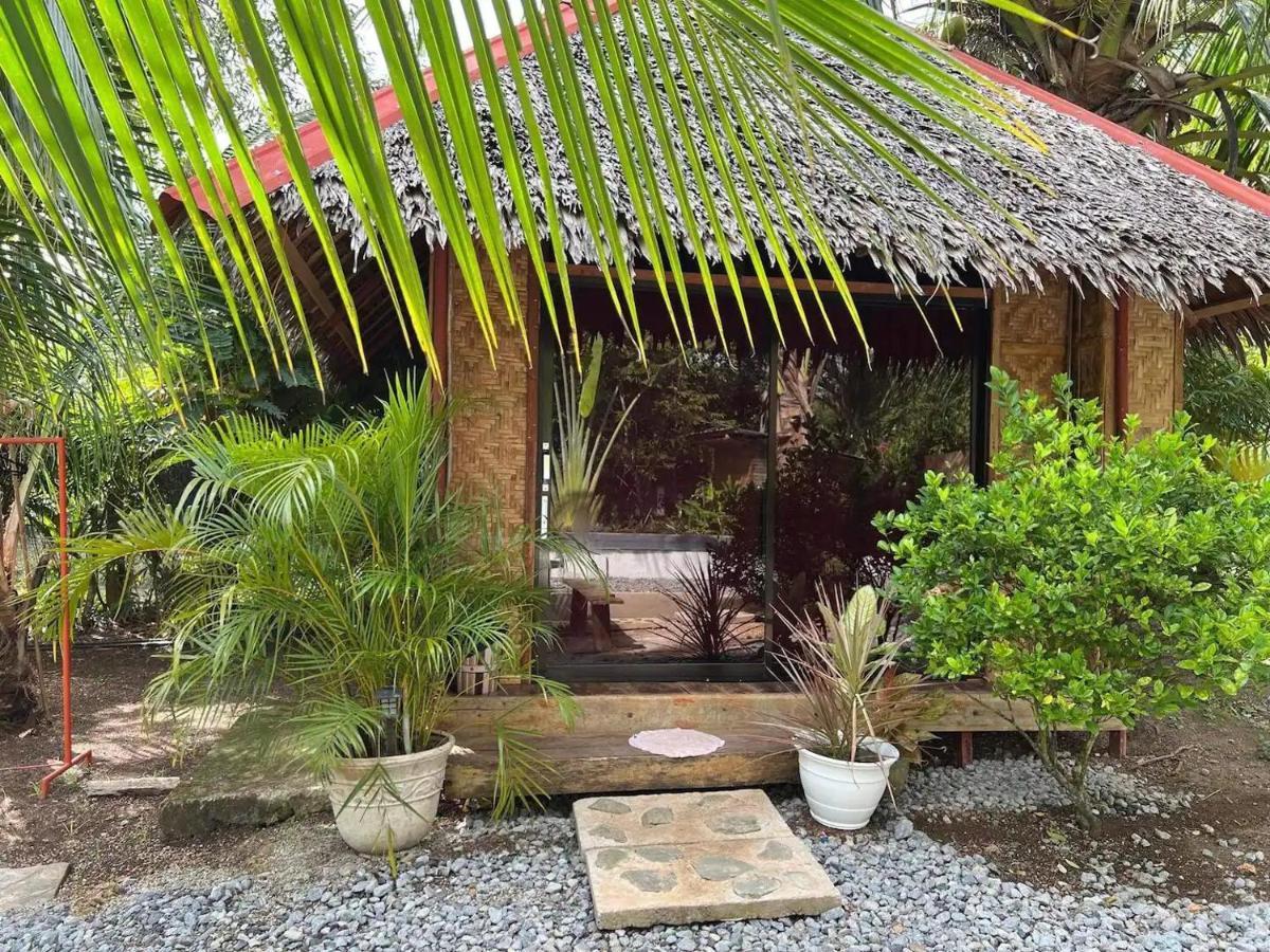 Bohol Island Homestay Dauis Eksteriør bilde