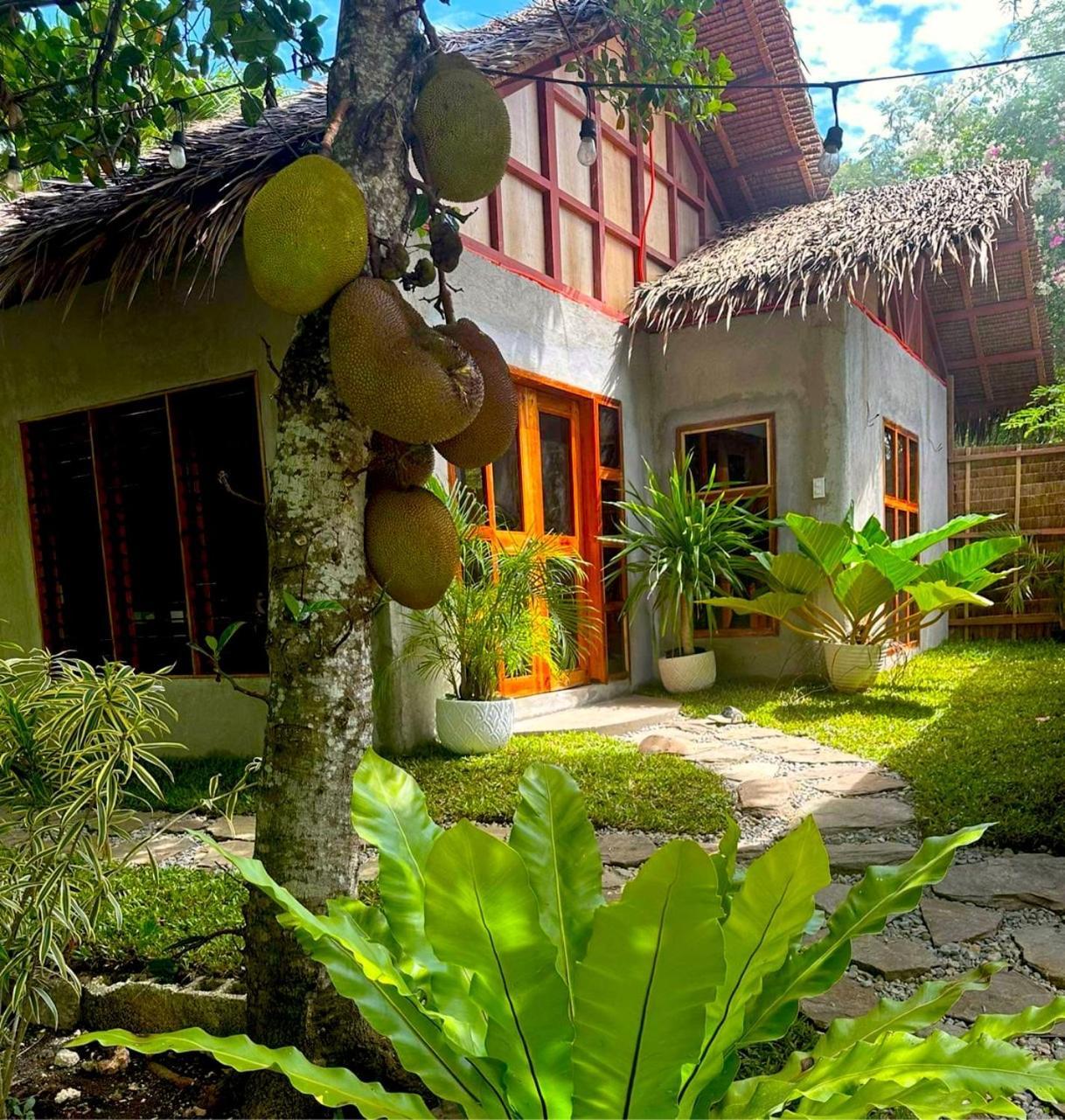 Bohol Island Homestay Dauis Eksteriør bilde