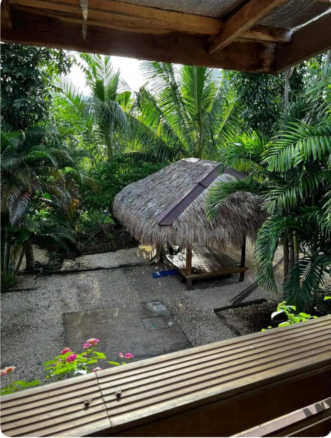 Bohol Island Homestay Dauis Eksteriør bilde